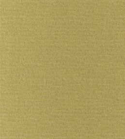 San Marco Fabric by Wemyss Pear