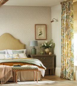 Cantaloupe Fabric by Sanderson Blush/Dove