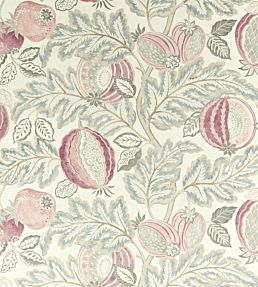 Cantaloupe Fabric by Sanderson Blush/Dove