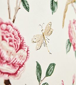 Andhara Wallpaper by Sanderson Dove/Cream