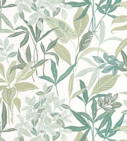 Santiago Wallpaper by Caselio Vert De Gris
