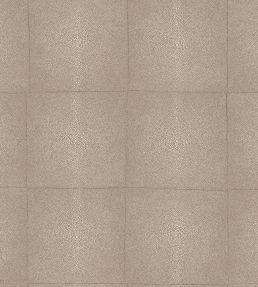 Shagreen Wallpaper by Arte Warm Grey