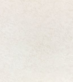 Shiri Wallpaper by Romo Pearl