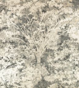 Sikora Wallpaper by Romo Charcoal