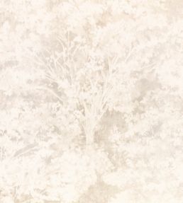 Sikora Wallpaper by Romo Pearl