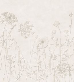 Silhouette Flowers Mural by Eijffinger White/Cream