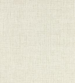 Sirpo Wallpaper by Clarke & Clarke Ash