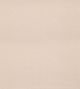 Skellig Fabric by Threads Parchment