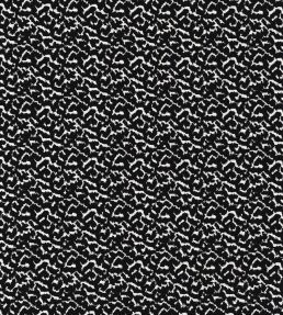 Smooth Fabric by Camengo Carbone
