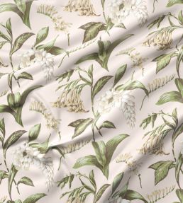 Snowbell Fabric by Warner House Blush