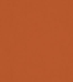 Solaire Fabric by Warwick Mandarin