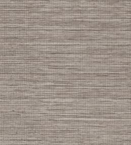 Sombra Wallpaper by Arte Aged Cedar