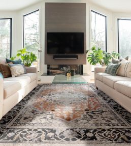 Asiatic Sovereign Medallion rug Terracotta 04 SOVE2002900004 Terracotta 04