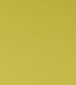 Spectrum Fabric by Clarke & Clarke Chartreuse