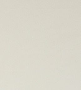 Spectrum Fabric by Clarke & Clarke Ivory