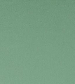 Spectrum Fabric by Clarke & Clarke Thyme