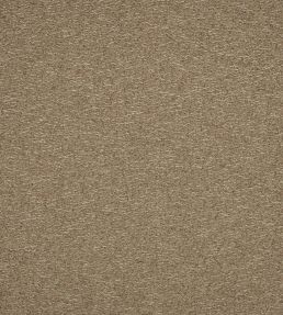 Spiral Fabric by Kirkby Design Havana