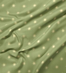 Starlight Fabric by Warner House Fern