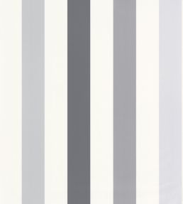 Stay Positive Wallpaper by Caselio Noir Gris