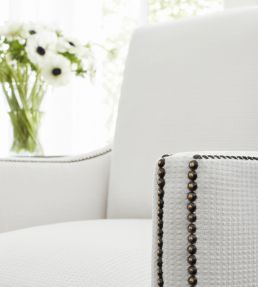 Stratus Fabric by Thibaut Oyster