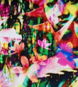 Tahitienne Fabric by Jean Paul Gaultier Multico