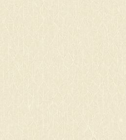 Tarrazu Wallpaper by Casadeco Beige Creme