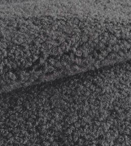 Texel Fabric by Casal Graphite