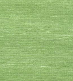 Surfrider Wallpaper by Thibaut Emerald Green