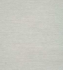 Surfrider Wallpaper by Thibaut Light Grey