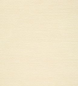 Surfrider Wallpaper by Thibaut Cream