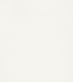 Surfrider Wallpaper by Thibaut White