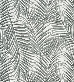 West Palm Wallpaper by Thibaut Black/White