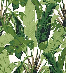 Travelers Palm Wallpaper by Thibaut in Green | Jane Clayton