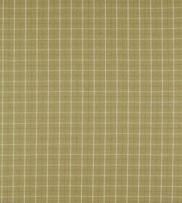 Thornton Fabric by Clarke & Clarke Olive