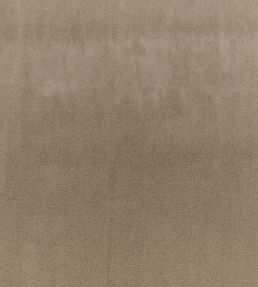 Todd Fabric by Zinc Putty