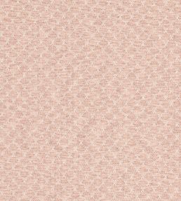 Trelica Fabric by Clarke & Clarke Blush