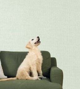Uni Mat Wallpaper by Caselio Vert Amande