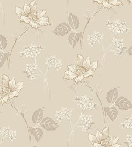 Valborg Wallpaper by Borastapeter Beige