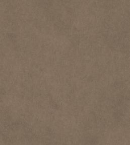 Vaquero Fabric by Warwick Fawn