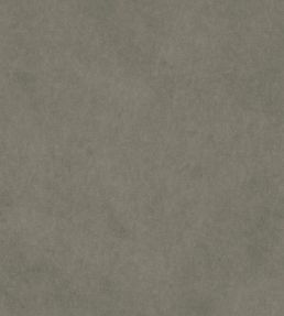 Vaquero Fabric by Warwick Seal
