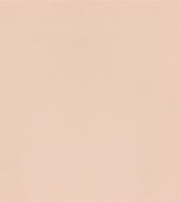 Velluto Fabric by Designers Guild Shell