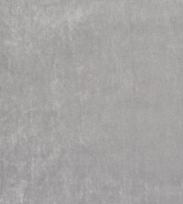 Velour Fabric by Prestigious Textiles Carbon