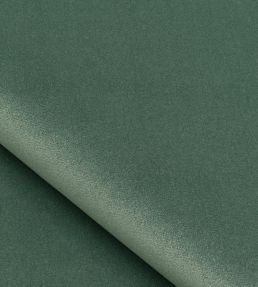 Velours Elio Fabric by Nobilis Sage Green