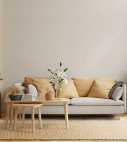 Asiatic Vigo rug Grey VIGO120170GREY Grey