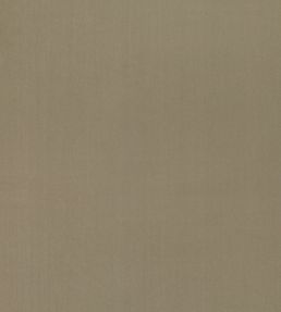 Pico Fabric by Villa Nova Cookie