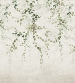 Vine Shadow Mural by Coordonne Green