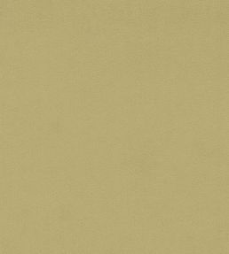 Wardle Velvet Fabric by Morris & Co Citrus Stone