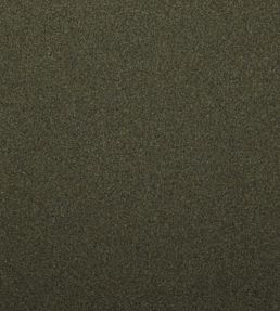 Amatheon FR Fabric by Warwick WILLOW