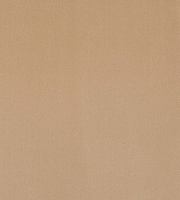 Plush Velvet FR Fabric by Warwick Cafe