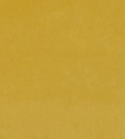 Plush Velvet FR Fabric by Warwick Daffodil
